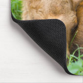 Baby-Elche, die im Gras, Baby-Tier schlafen Mousepad (Ecke)
