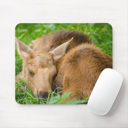 Baby-Elche, die im Gras, Baby-Tier schlafen Mousepad (Mit Mouse)