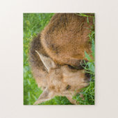 Baby-Elche, die im Gras, Baby-Tier schlafen Puzzle (Vertikal)