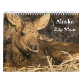 Baby-Elche Kalender