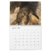 Baby-Elche Kalender (Jan 2027)