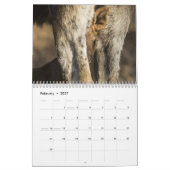 Baby-Elche Kalender (Feb 2027)