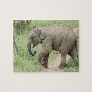 Baby-Elefant folgt der Mutter,Corbett Puzzle