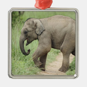 Baby-Elefant folgt der Mutter,Corbett Silbernes Ornament