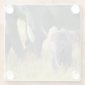 Baby-Elefant Glasuntersetzer (Rückseite)