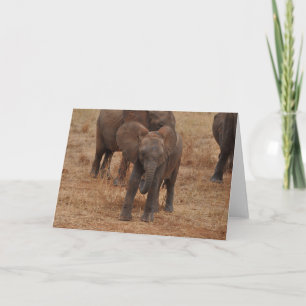 Baby-Elefant Karte