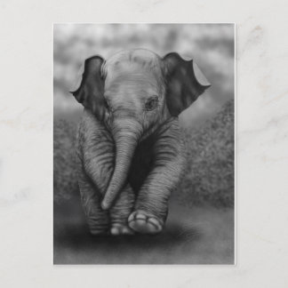 Baby-Elefant Postkarte