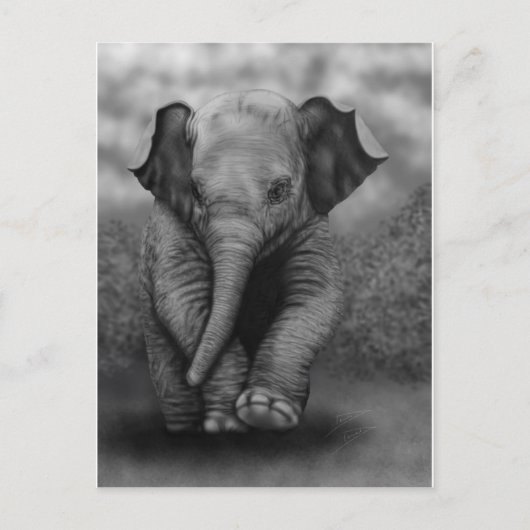 Baby-Elefant Postkarte (Vorderseite)