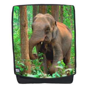 Baby Elefant Rucksack