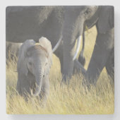 Baby-Elefant Steinuntersetzer (Vorderseite)