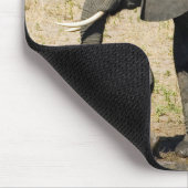 Baby-Elefant und Mutter Mousepad (Ecke)