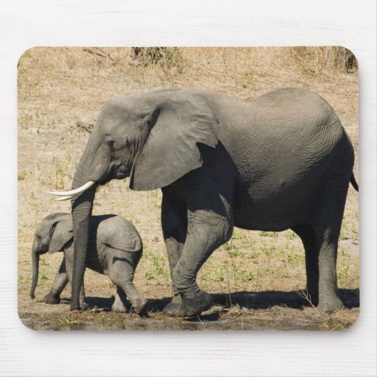 Baby-Elefant und Mutter Mousepad (Vorne)