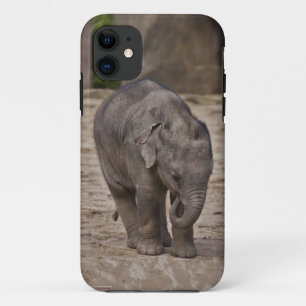 Baby-Elefanten-iPhone-5-Hülle-Case-Mate-Hülle Case-Mate iPhone Hülle