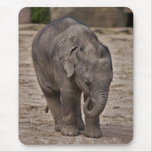 Baby-Elefanten-Mauspad Mousepad