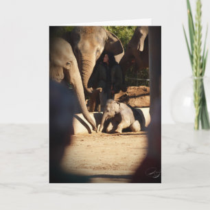 Baby Elephant Birthday Card Karte