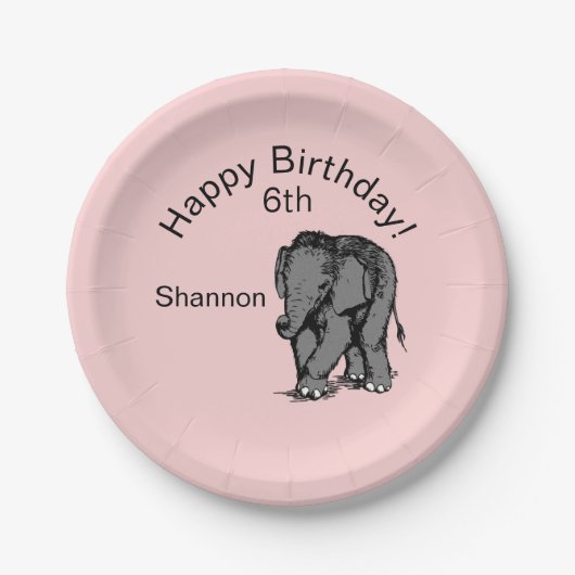Baby Elephant Birthday Pink Pappteller (Vorderseite)