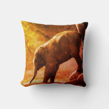Baby Elephant by Water Pillow