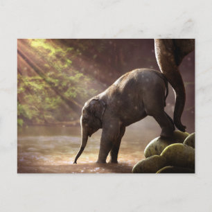 Baby Elephant Drink Water Foto Postkarte