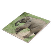 Baby Elephant folgt der Mutter, Corbett Fliese (Seite)