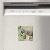 Baby Elephant folgt der Mutter, Corbett Magnet (In Situ (Geschirrspüler))