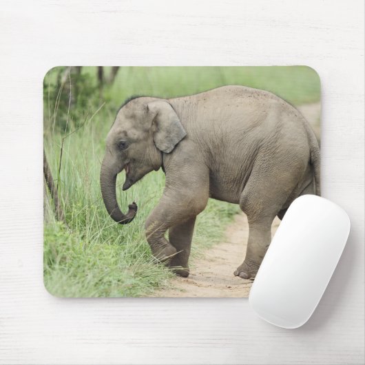 Baby Elephant folgt der Mutter, Corbett Mousepad (Mit Mouse)