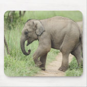 Baby Elephant folgt der Mutter, Corbett Mousepad (Vorne)