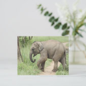 Baby Elephant folgt der Mutter, Corbett Postkarte (Stehend Vorderseite)