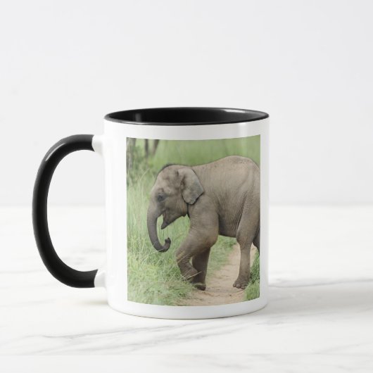 Baby Elephant folgt der Mutter, Corbett Tasse (Links)