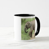 Baby Elephant folgt der Mutter, Corbett Tasse (VorderseiteRechts)