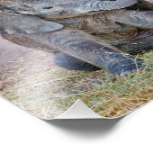 Baby Elephant Fotodruck (Ecke)