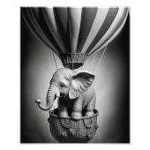 Baby Elephant in einem Heißluftballon Fotodruck (Vorne)
