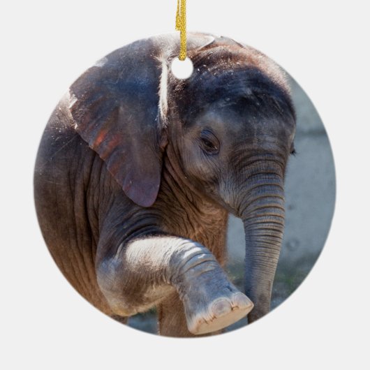 Baby Elephant Keramikornament (Hinten)
