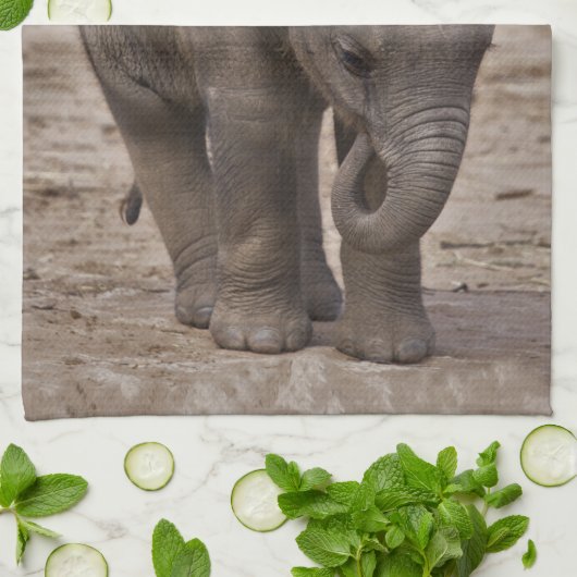 Baby Elephant Kitchen Handtuch (Gefaltet)