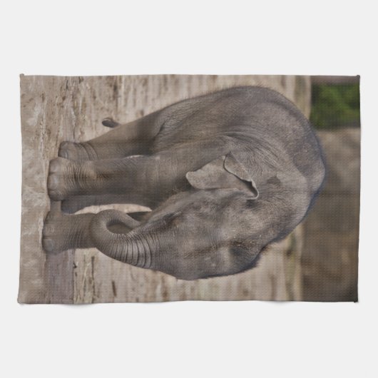 Baby Elephant Kitchen Handtuch (Horizontal)