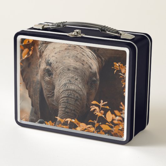 Baby Elephant Lunch Box - Custom Safari Geschenk (Vorderseite)