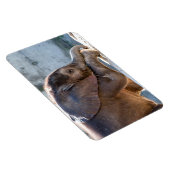 Baby Elephant Magnet (Rechte Seite)