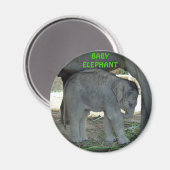 Baby Elephant Magnet (Vorderseite/Rückseite)