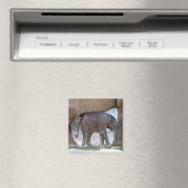 Baby Elephant Magnet (In Situ (Geschirrspüler))