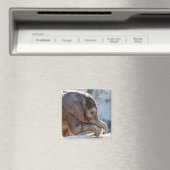 Baby Elephant Magnet (In Situ (Geschirrspüler))