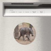 Baby Elephant Magnet (In Situ (Geschirrspüler))