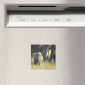 Baby Elephant Magnet (In Situ (Geschirrspüler))