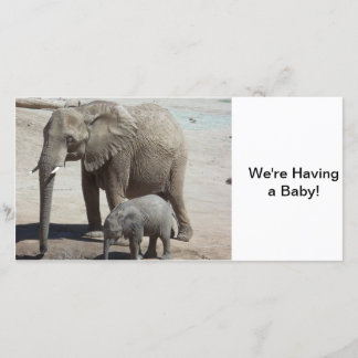 Baby Elephant mit Mommy Ankündigung