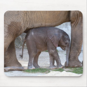 Baby Elephant Mousepad