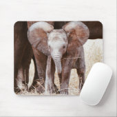Baby Elephant Niedlicher afrikanischer Elefant mit Mousepad (Mit Mouse)