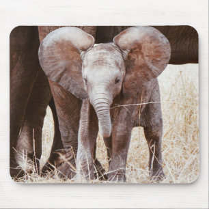 Baby Elephant Niedliches Afrikanisches Elefant mit Mousepad