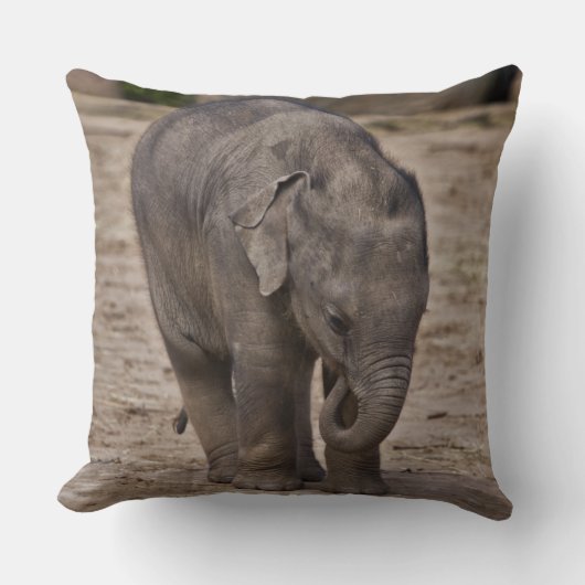 Baby Elephant Pillow Kissen (Vorderseite)