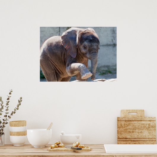 Baby Elephant Poster (Küche)