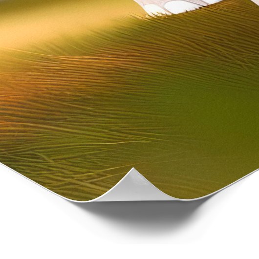 Baby Elephant Poster (Ecke)