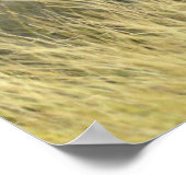 Baby Elephant Poster (Ecke)