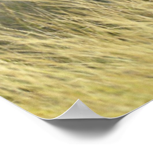 Baby Elephant Poster (Ecke)